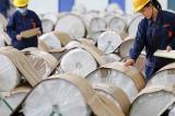Matières premières : le conflit commercial sino-américain assombrit les prévisions pour les pays dépendants (Rapport)