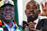 Zimbabwe: le chef de l’opposition veut détrôner la vieille garde