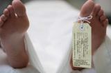 Transportée par erreur à la morgue et retrouvée vivante dans un réfrigérateur