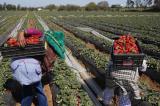 450 milliards de dollars pour assurer la 