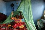 Journée mondiale du paludisme : la maladie en recrudescence
