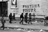 Le mois d'août consacré au combat du mouvement Black Panther Partey