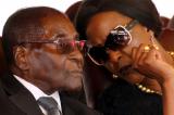 Zimbabwe: que va devenir Robert Mugabe après sa démission?