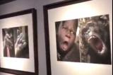 En Chine, une exposition raciste met côte à côte Africains et animaux fait un tollé sur les réseaux sociaux