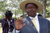 Ouganda : trois hommes arrêtés pour avoir volé des vaches du président Museveni