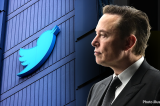 Twitter et Elon Musk : « Je t'aime, moi non plus »