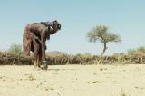 Sécheresse inquiétante en Namibie