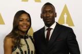 Un an après la polémique, les Oscars apparaissent moins monochromes