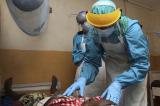 Une flambée record de fièvre de Lassa fait 72 morts au Nigeria
