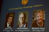 Nobel de médecine : trois spécialistes américains de l'horloge biologique primés