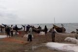 Nord-Kivu : plus de 40 pêcheurs arrêtés et 20 pirogues saisies par des Maï-Maï ce dimanche à Chanika (FECOPEILE)
