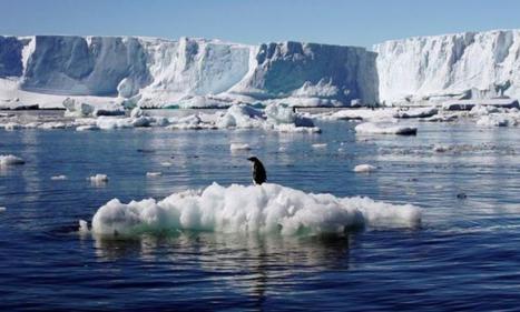 Infos congo - Actualités Congo - -L'Antarctique fond à un rythme accéléré et renforce la hausse du niveau des océans