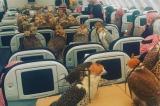 Un prince saoudien a acheté des billets d'avion pour ses 80 oiseaux