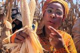 Ferme Espoir/Lwembe : la Première Dame, Mme Marie-Olive Lembe Kabila, lance la campagne de récolte de 1000 ha de maïs