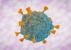 - Coronavirus : le variant Omicron ne rend pas les patients gravement malades pour l’instant, selon les médecins sud-africains