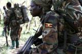 Nord-Kivu : des rebelles ougandais ont attaqué deux localités du secteur de Ruwenzori