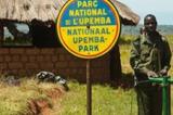 Environnement - Parc de l'Upemba : prévenir la spoliation et l'exploitation minière
