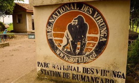 Infos congo - Actualités Congo - -La baisse d’activités touristiques au parc des Virunga sans conséquences sur la RDC