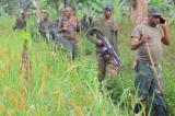 Beni: 37 combattants ADF tués, les FARDC récupèrent le camp World Space