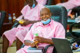 Rwanda : Paul Rusesabagina bientôt libre