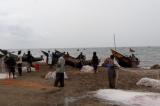 Nord-Kivu : libération par la marine ougandaise des 34 moteurs appartenant aux pêcheurs de Kyavinyonge