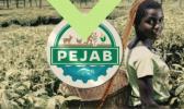Infos congo - Actualités Congo - -PEJAB recrute des jeunes diplômés ayant une idée d'entreprise dans le secteur agricole et agro- business 