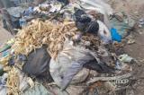 Kinshasa – assainissement : la rareté des poubelles publiques inquiète la population