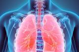 De nouvelles études le prouvent: Omicron touche moins les poumons et serait donc moins agressif