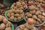Nord-Kivu : les produits agricoles pourrissent à Binza faute de voies d’évacuation