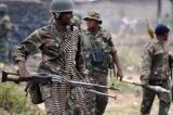 Production d’armement et d’équipements pour les FARDC : le gouvernement adopte le projet de contrat avec une jointe-venture