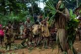 Cameroun : la déforestation menace les Pygmées