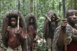 Accusé de déforestation du parc national de Kahuzi Biega, un chef rebelle pygmée arrêté