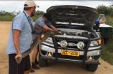 Zimbabwe : ils découvrent un python caché dans le moteur de leur voiture