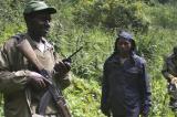Nord-Kivu : CIDHOPE accuse le M23 dans la destruction du Parc des Virunga