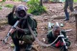 Est de la RDC : plus de 2.700 violations des droits de l’homme recensées au premier semestre 2025, alerte l’ONU