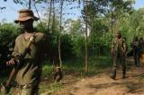 Violents affrontements à Djugu, la CRP accusée de violer son propre cessez-le-feu
