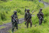 La rébellion du M23/AFC vise à contrôler les zones disposant les ressources minières dans le Kivu