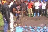 Nord-Kivu : 8 groupes armés « prêts » à déposer les armes