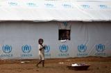 Situation des enfants dans le Kasaï : Lambert Mende balaie le rapport d'Unicef