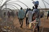 Le HCR entend rapatrier près de 600 réfugiés congolais de l'Angola 