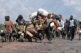 Nord-Kivu : 60 000 déplacés recensés en moins d’un mois