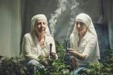 Etats-Unis : des religieuses deviennent riches en cultivant de la marijuana !