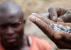 Infos congo - Actualités Congo - -Insécurité dans l'Est de la RDC: guerres d'influence et pillages de ressources