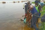 Haut-Uele : découverte d’un corps sans vie au bord de la rivière Kibali à Durba
