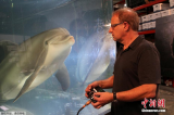 USA: un dauphin robot a été mis au point pour remplacer les vrais dans les parcs aquatiques