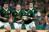 Mondial de Rugby : les springboks à Toulon pour les derniers réglages