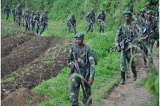 L’armée rwandaise sur le sol congolais à la recherche des FDLR