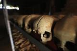 Génocide rwandais : prison à vie requise contre deux ex-bourgmestres