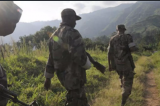 L'armée rwandaise en RDC : incursion ou égarement ? 