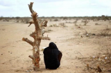 Le changement climatique accroît l'exode des populations en Afrique